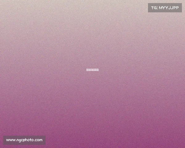 澳门赛车事故现场