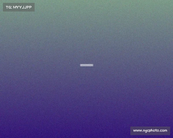 男篮红蓝队什么意思